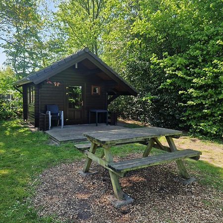 Camping Alkenhaer Appelscha Blokhut Basic Dış mekan fotoğraf