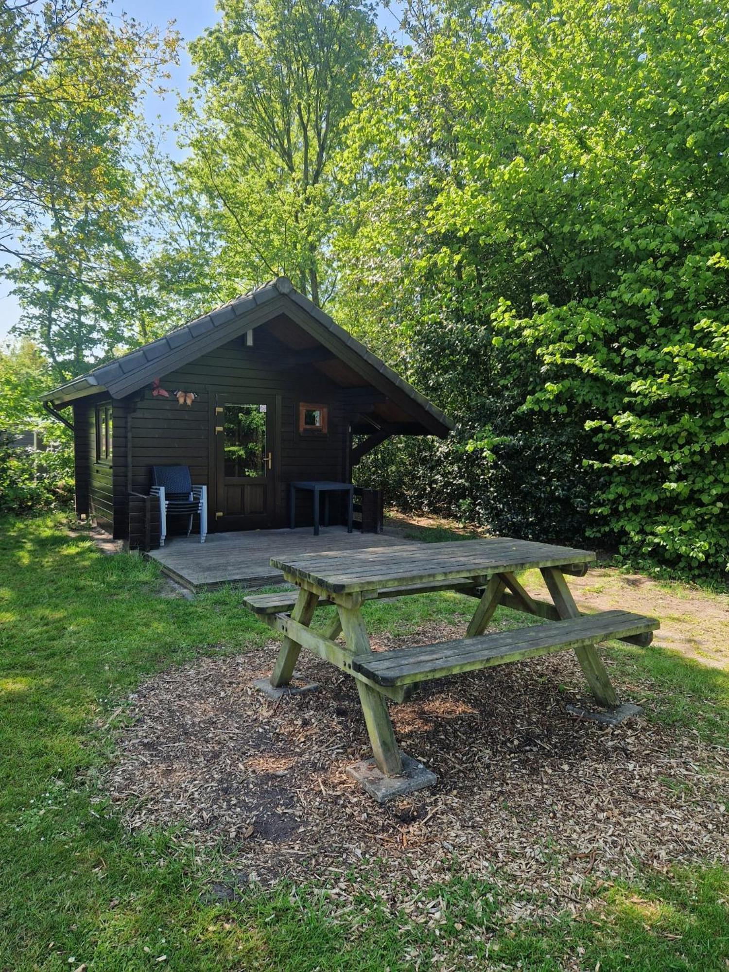 Camping Alkenhaer Appelscha Blokhut Basic Dış mekan fotoğraf
